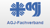 AGJ Fachverband SEO Analyse Websites